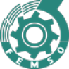 images/logos_tools/Femso_Logo_H80.png